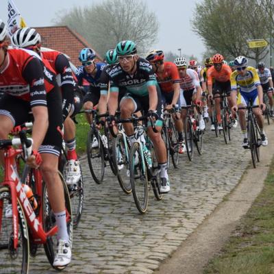 Ronde van Vlaanderen 2019 by V.Herbin (6)