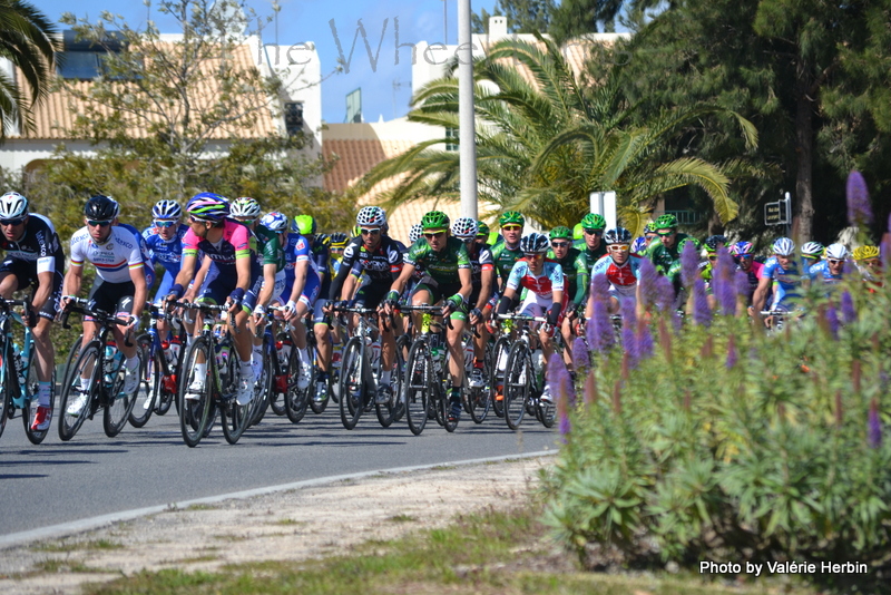 Algarve 2014 Stage 5 by V (21)