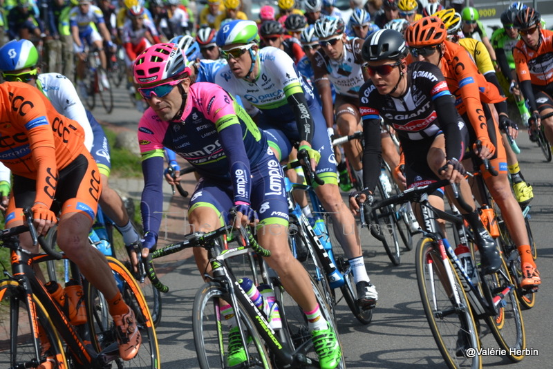 Amstel Gold Race 2015 by Valérie Herbin (30)