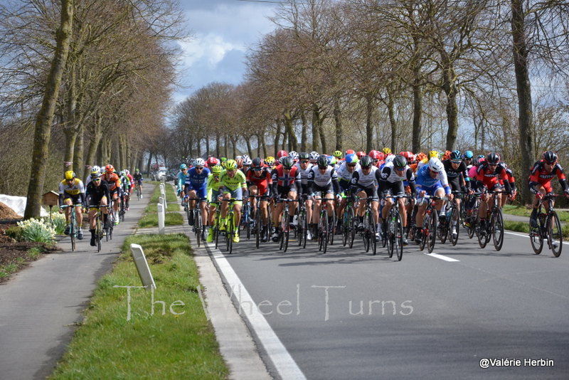 Gand-Wevelgem 2016 by Valérie Herbin (36)