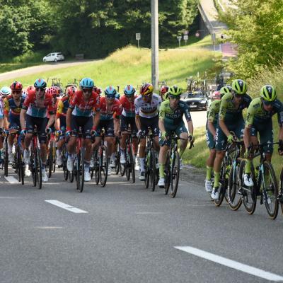 Gippingen 2024 by valerie h 393 