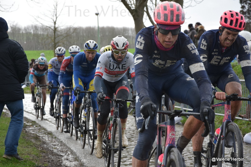 Het Nieuwsblad 2020 by V.Herbin (10)