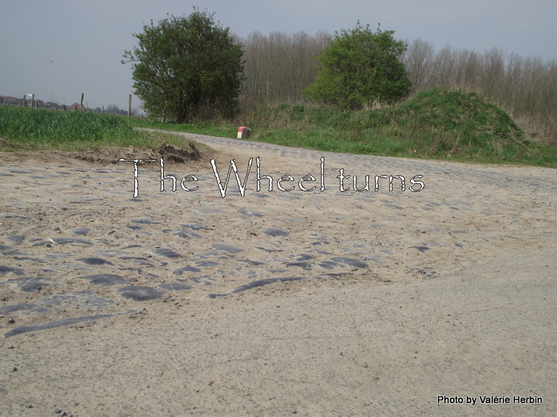 Recognition Paris-Roubaix 2012 by V (25)