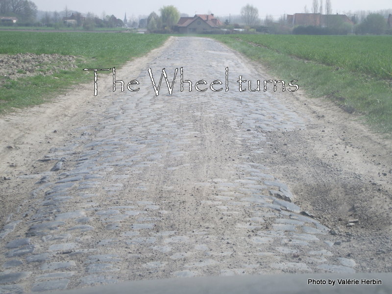 Recognition Paris-Roubaix 2012 by V (30)