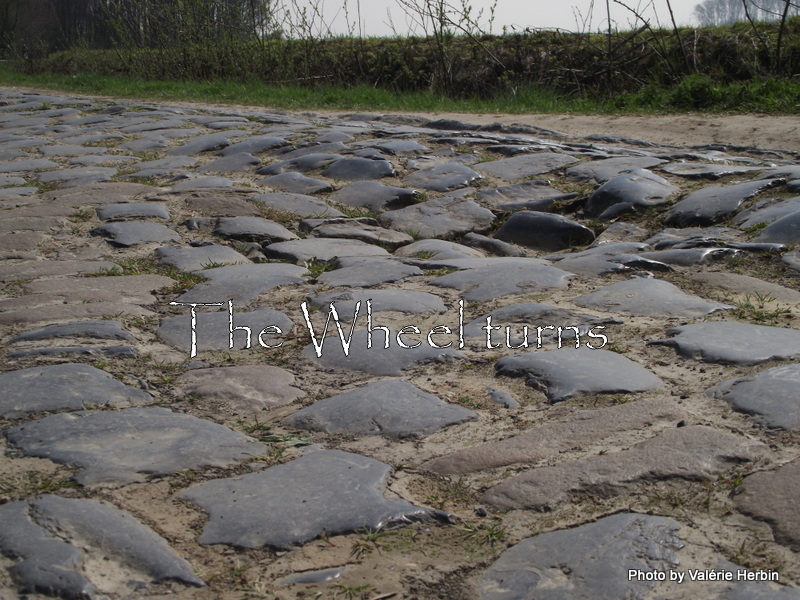 Recognition Paris-Roubaix 2012 by V (31)