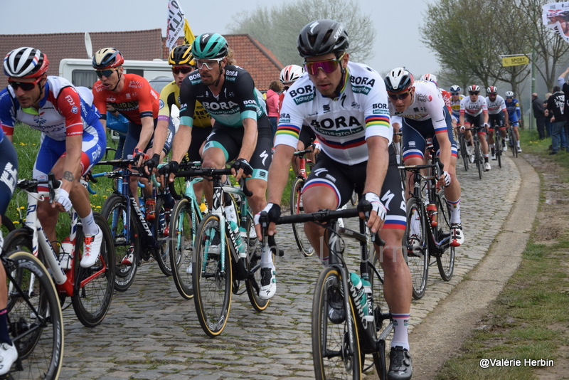 Ronde van Vlaanderen 2019 by V.Herbin (8)