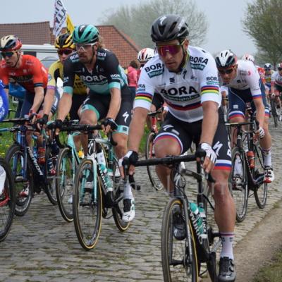 Ronde van Vlaanderen 2019 by V.Herbin (8)