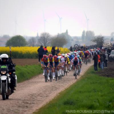 Roubaix 2025 by valerie 1 