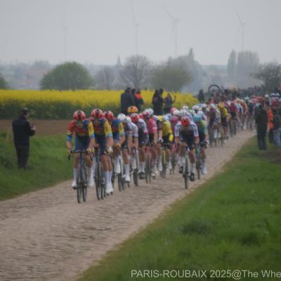 Roubaix 2025 by valerie 2 