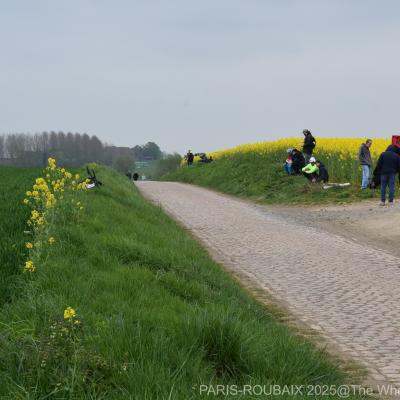 Roubaix 2025 by valerie 7 