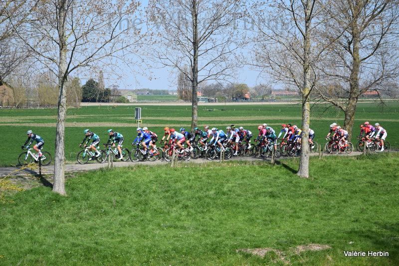 Scheldeprijs 2019  (6)