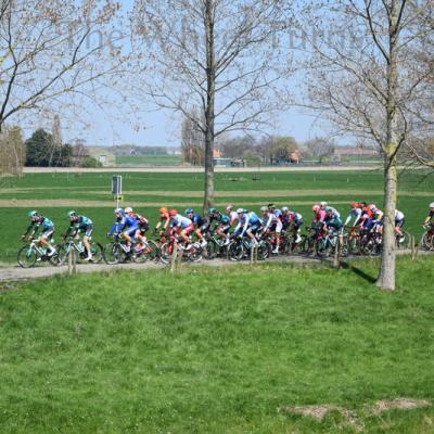 Scheldeprijs 2019  (6)