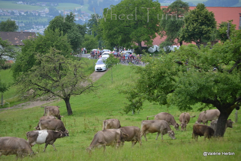 Stage 1 Tour de Suisse 2015 by Valérie (18)