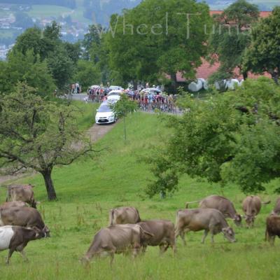 Stage 1 Tour de Suisse 2015 by Valérie (18)