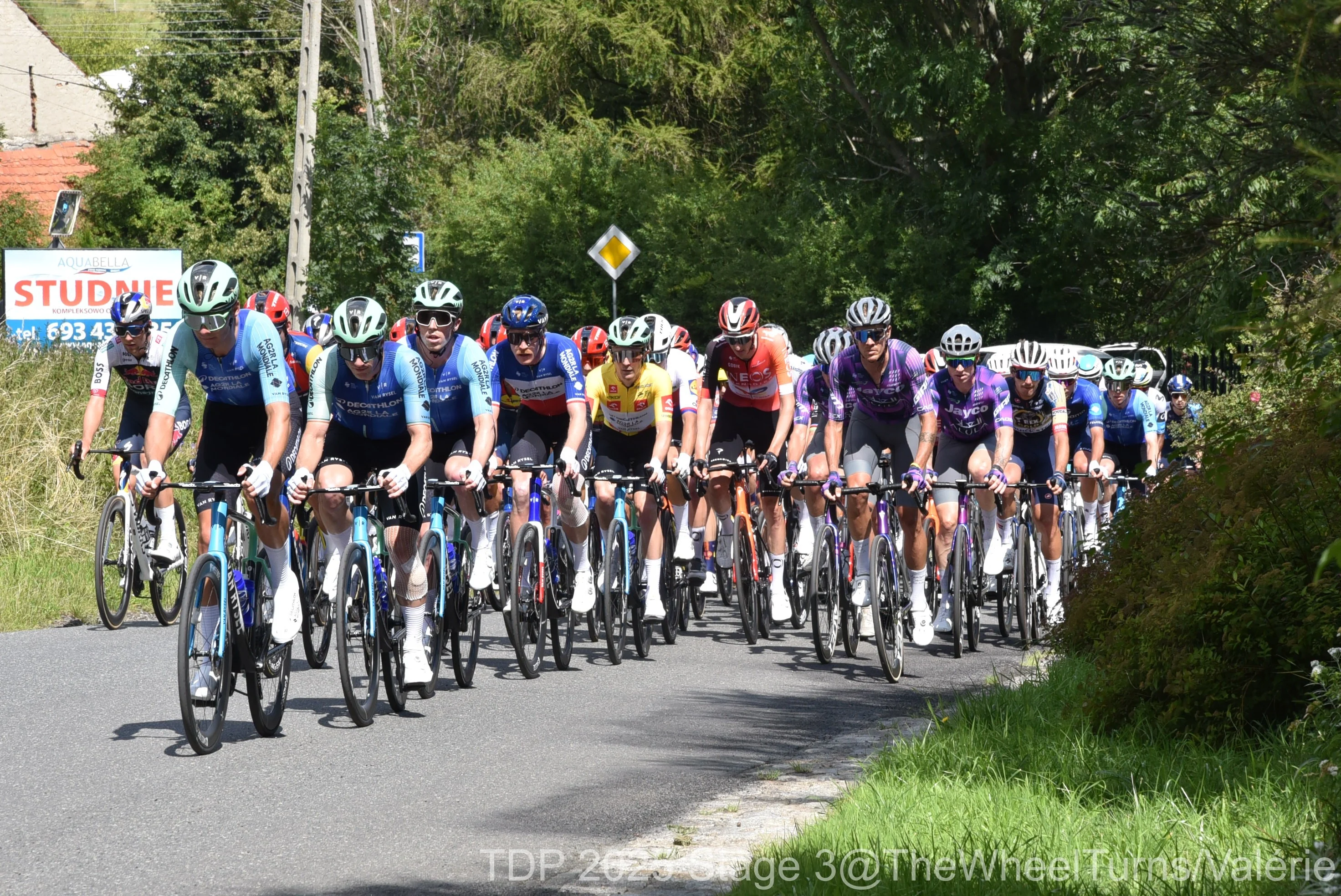 Tdp 2025 stage 3 valerie 50 
