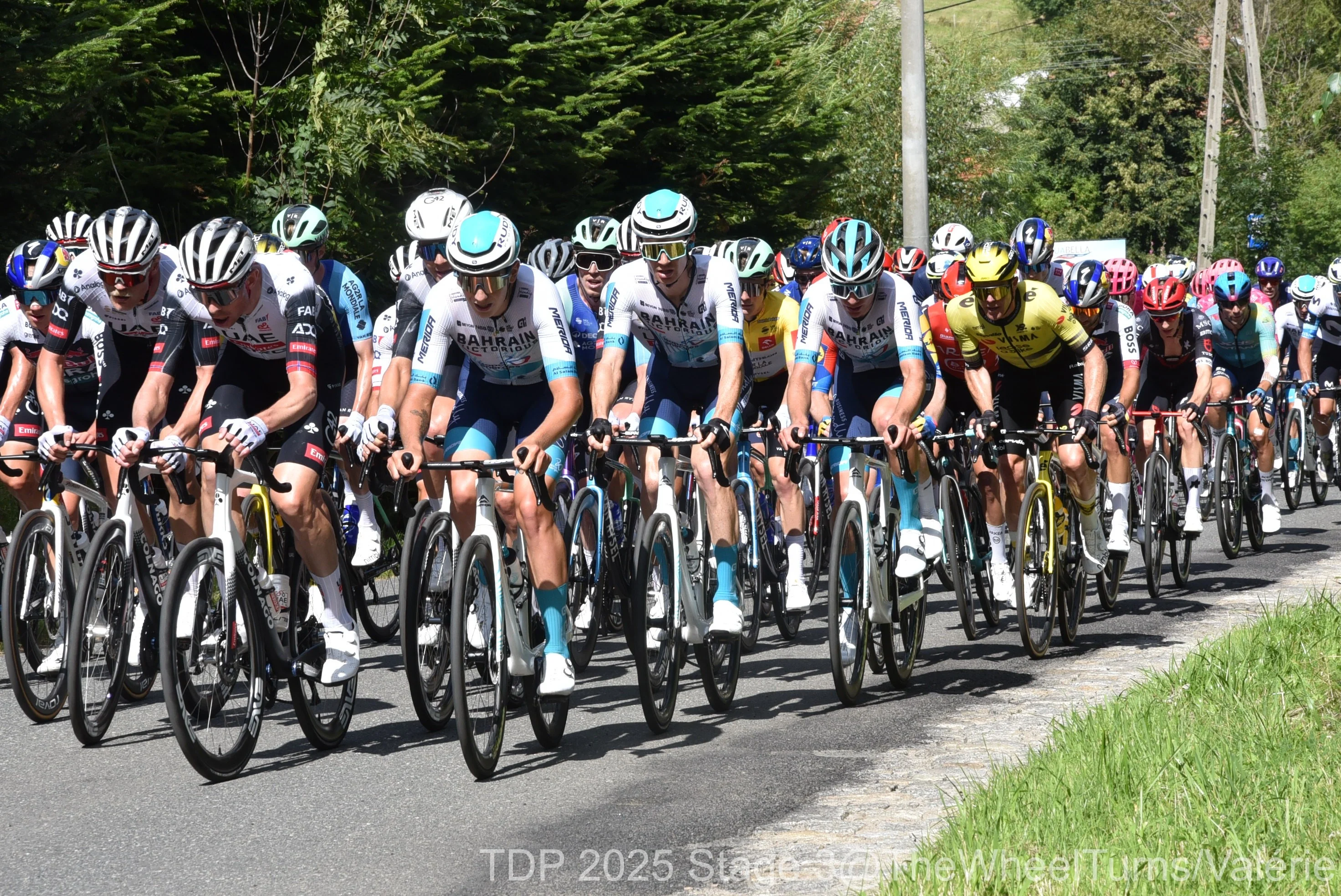 Tdp 2025 stage 3 valerie 67 