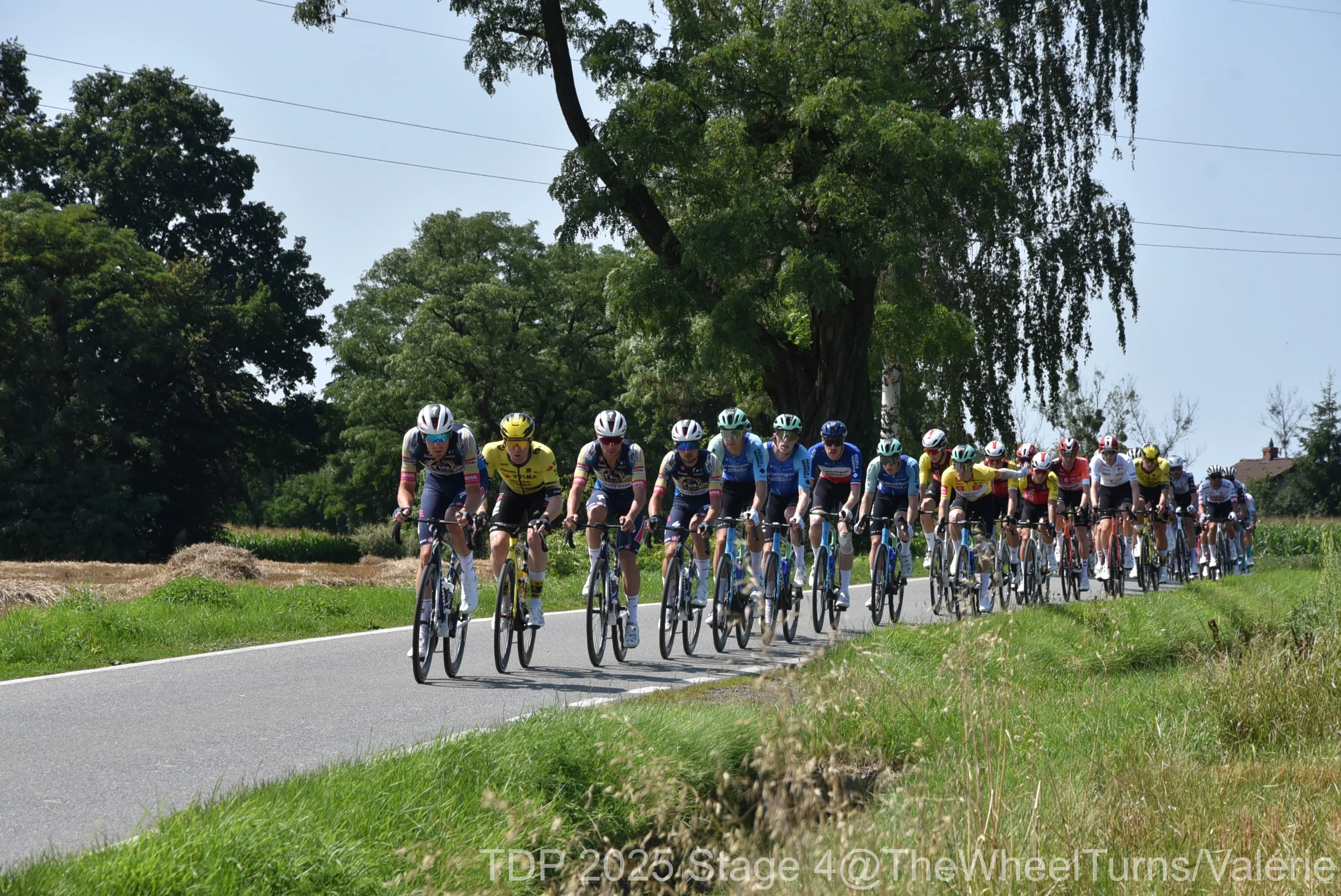 Tdp 2025 stage 4 thewheelturns 392 