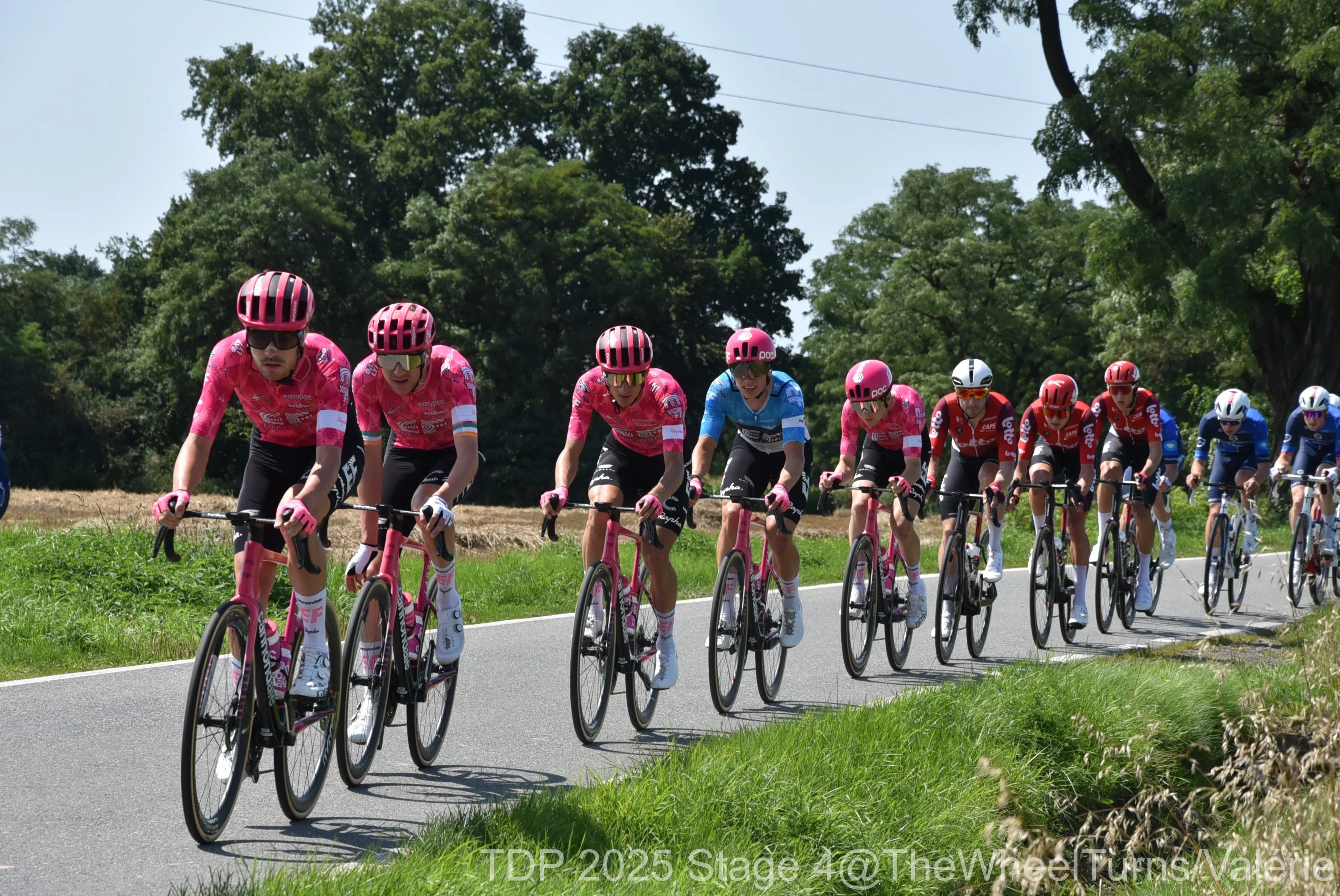 Tdp 2025 stage 4 thewheelturns 409 