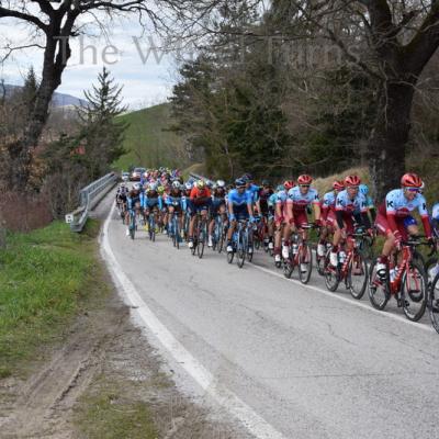 Tirreno-Adriatico 2018 STage 4 by V.Herbin (9)