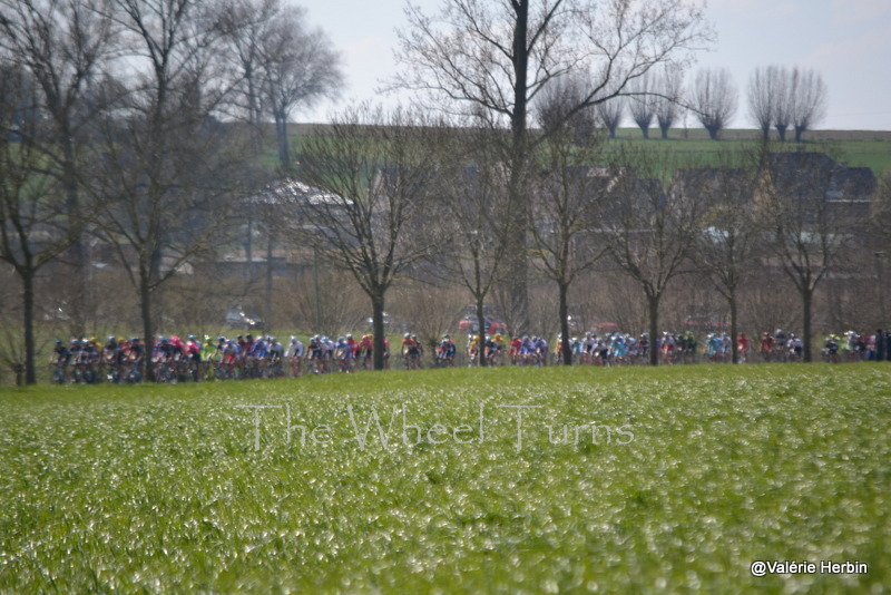 Tour des Flandres 2015 by Valérie Herbin (43)