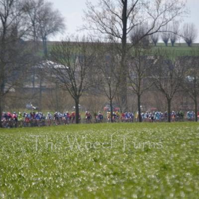 Tour des Flandres 2015 by Valérie Herbin (43)